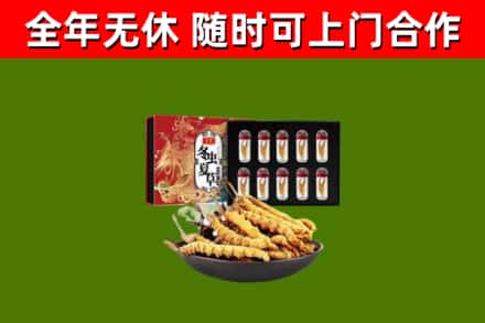 青云谱回收冬虫夏草价格