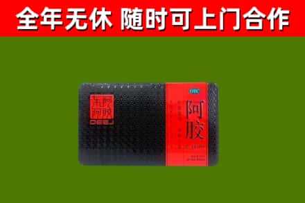 青云谱回收阿胶